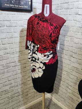 Bisou Bisou Red & Black One-Shoulder Floral Dress